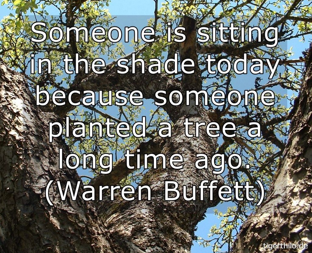 Someone is sitting in the shade today, because someone planted a tree a long time ago. (Warren Buffett)