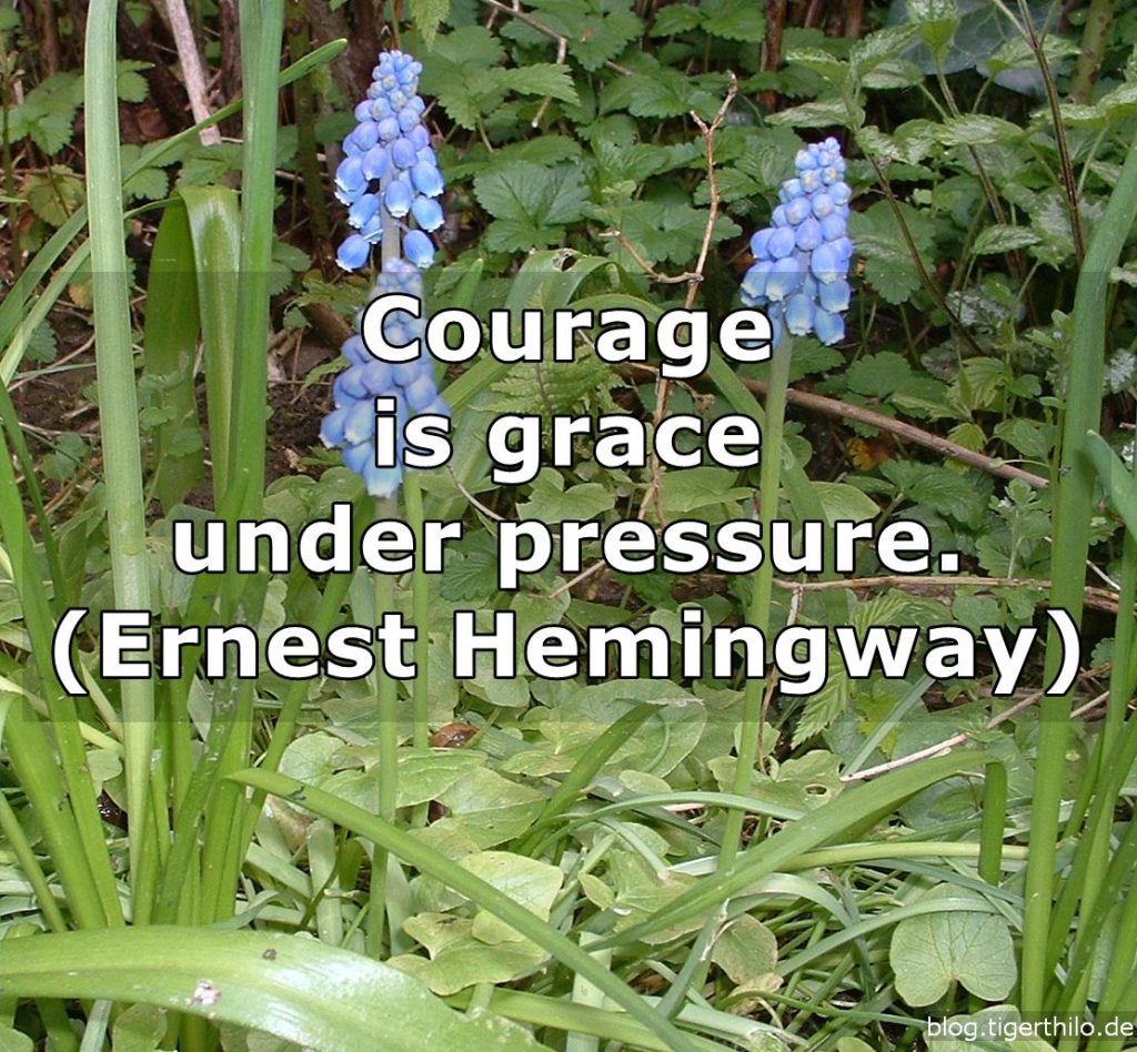 Courage is grace under pressure. (Ernest Hemingway)