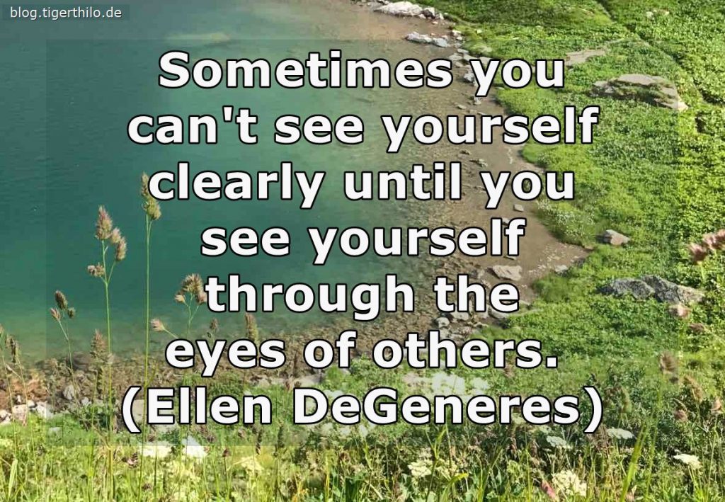 Sometimes you can't see yourself clearly until you see yourself through the eyes of others. (Ellen DeGeneres)
