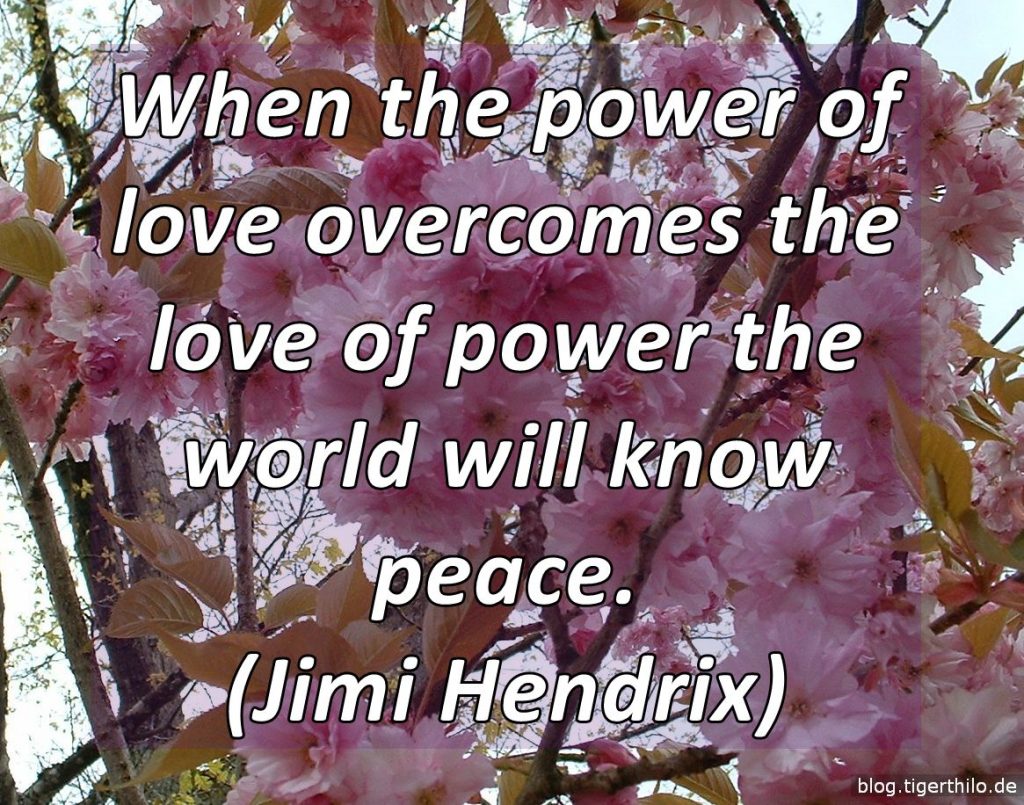 When the power of love overcomes the love of power the world will know peace. (Jimi Hendrix)