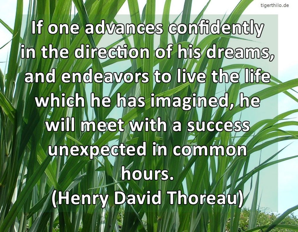 If one advances confidently in the direction of his dreams, and endeavors to live the life which he has imagined, he will meet with a success unexpected in common hours. (Henry David Thoreau)