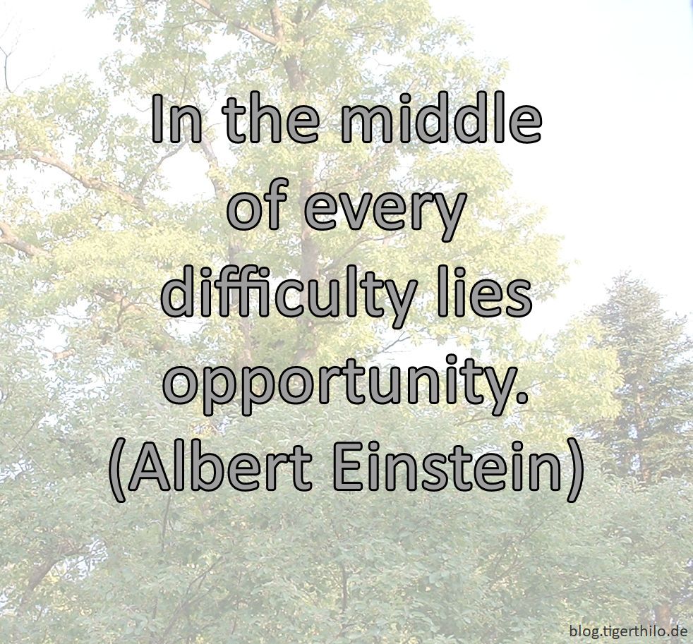 In the middle of every difficulty lies opportunity. (Albert Einstein)