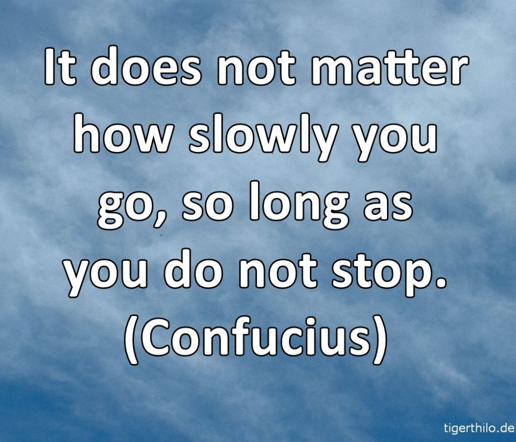 It does not matter how slowly you go, so long as you do not stop. (Confucius)