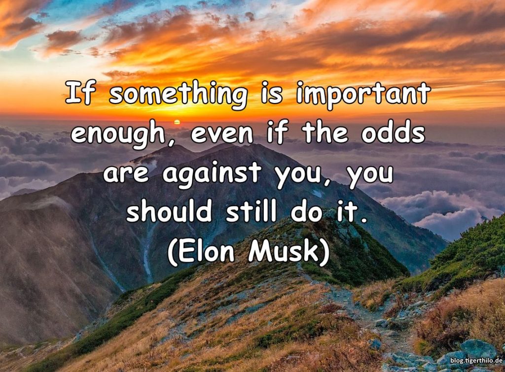 If something is important enough, even if the odds are against you, you should still do it. (Elon Musk)