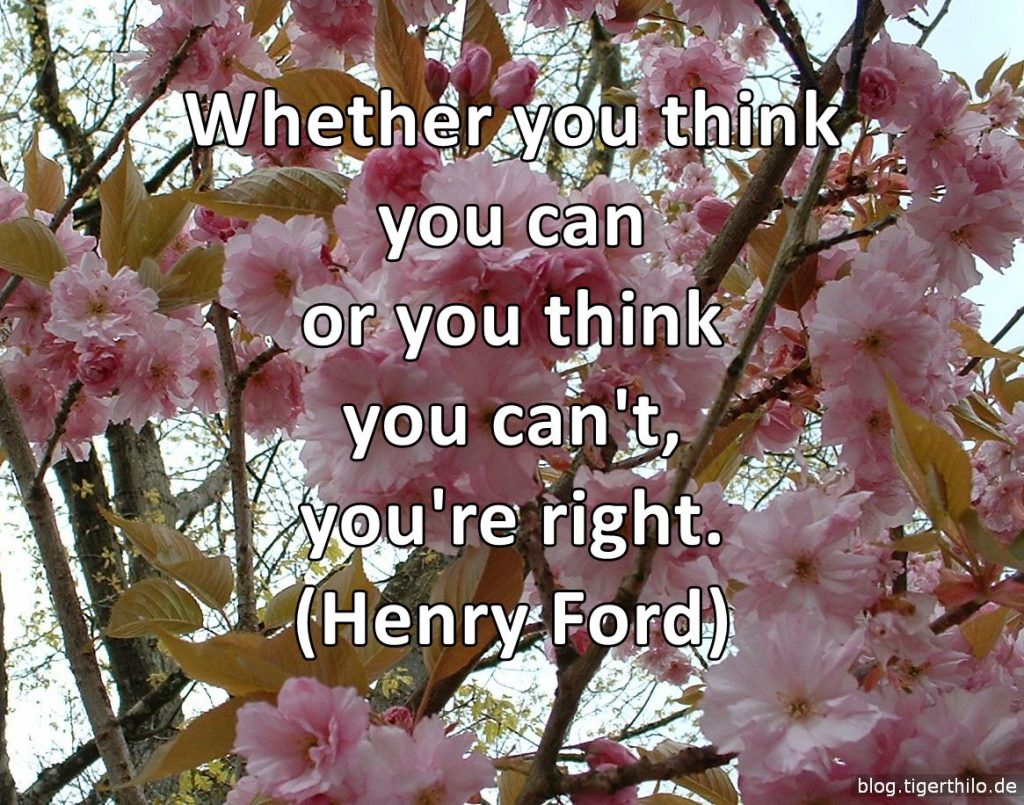 Whether you think you can or you think you can't, you're right. (Henry Ford)